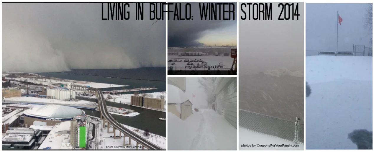 Buffalo Winter Storm Knife 2014