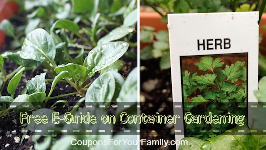 Free Container Garden Guide