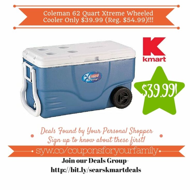 cosmetic cooler kmart