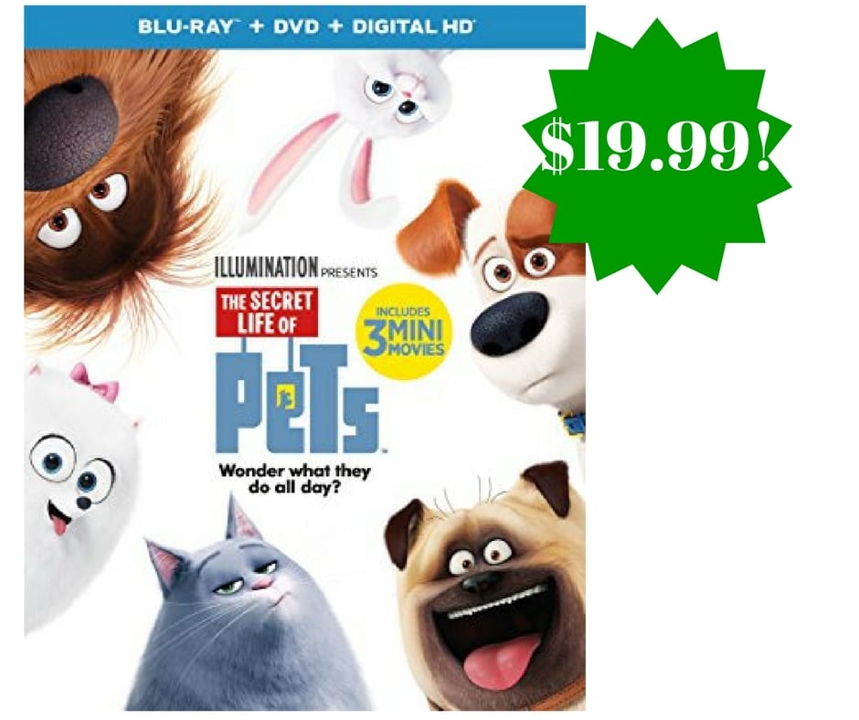 Amazon: The Secret Life of Pets Blu-ray + DVD + Digital HD Only $19.99 (Reg. $35, Preorder)