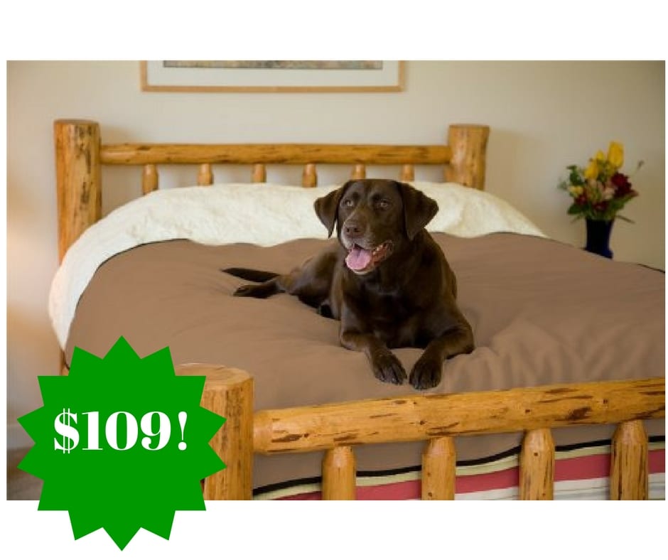 Amazon: 100% Waterproof Mambe Pet Blanket Only $109 Shipped