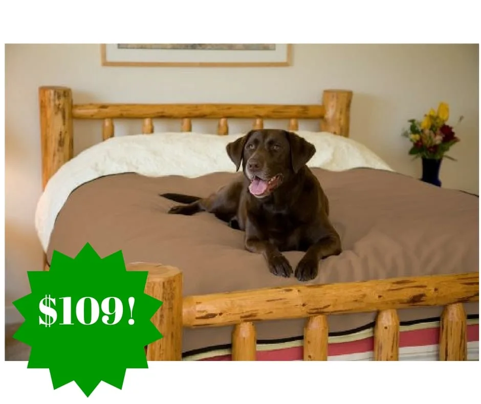 Amazon: 100% Waterproof Mambe Pet Blanket Only $109 Shipped Amazon: 100% Waterproof Mambe Pet Blanket Only $109 Shipped