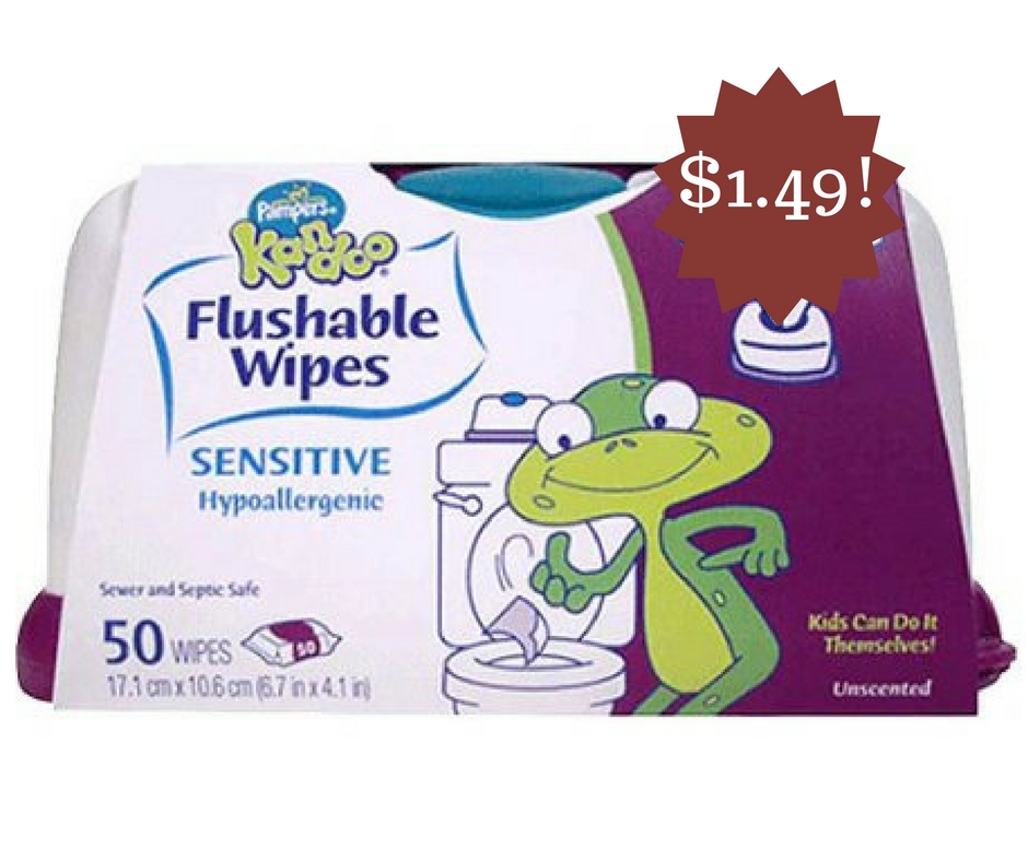 Wegmans: Pampers Kandoo Flushable Wipes Only $1.49
