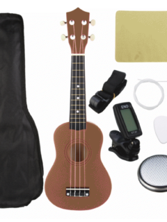 Walmart Ukulele Starter Kit