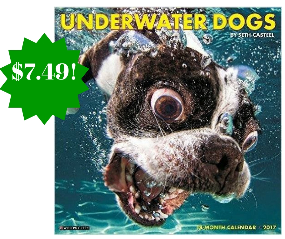 Amazon: Underwater Dogs 2017 Wall Calendar Only $7.49)