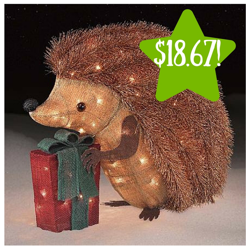 Kmart: Jaclyn Smith 24" 50ct Hedgehog Only $18.67 After Points