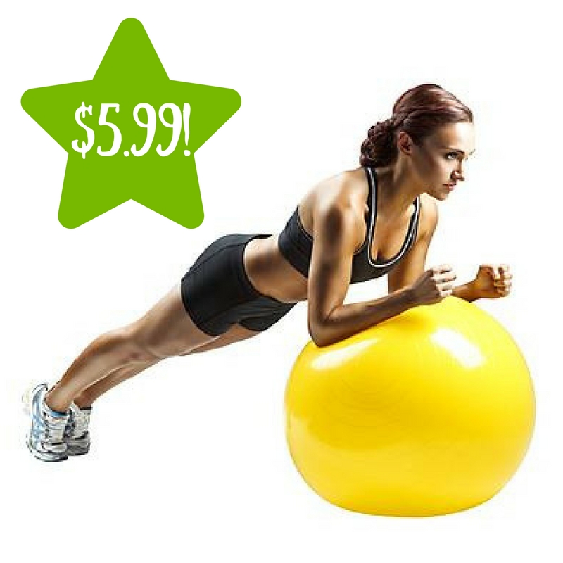 Sears: Weider 55cm Stability Exercise Ball Only $5.99 (Reg. $15)
