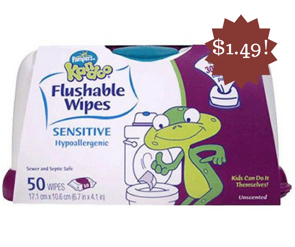 Wegmans Pampers Kandoo Flushable Wipes Only 1.49