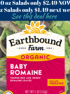 earthbound coupons