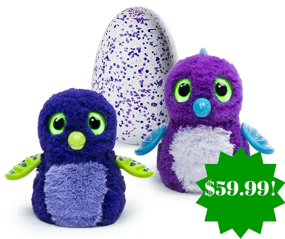 Amazon: Hatchimals Purple/Blue Draggle Only $59.99 Amazon: Hatchimals Purple/Blue Draggle Only $59.99