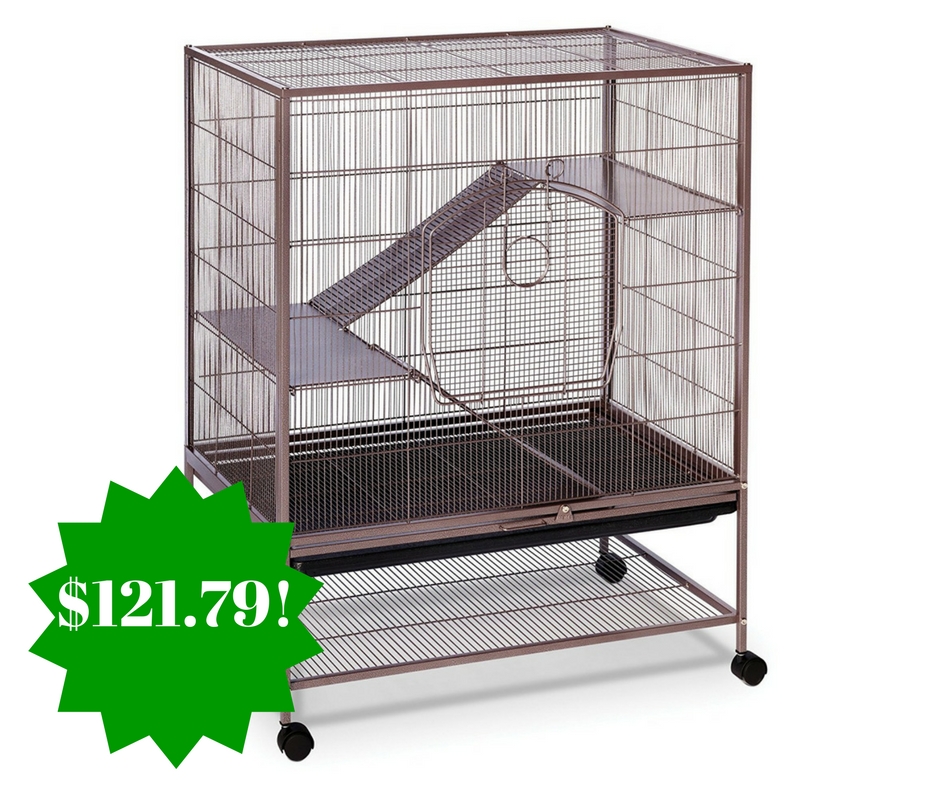 Amazon: Prevue Hendryx Dusted Rose Rat & Chinchilla Cage Only $121.79 Shipped