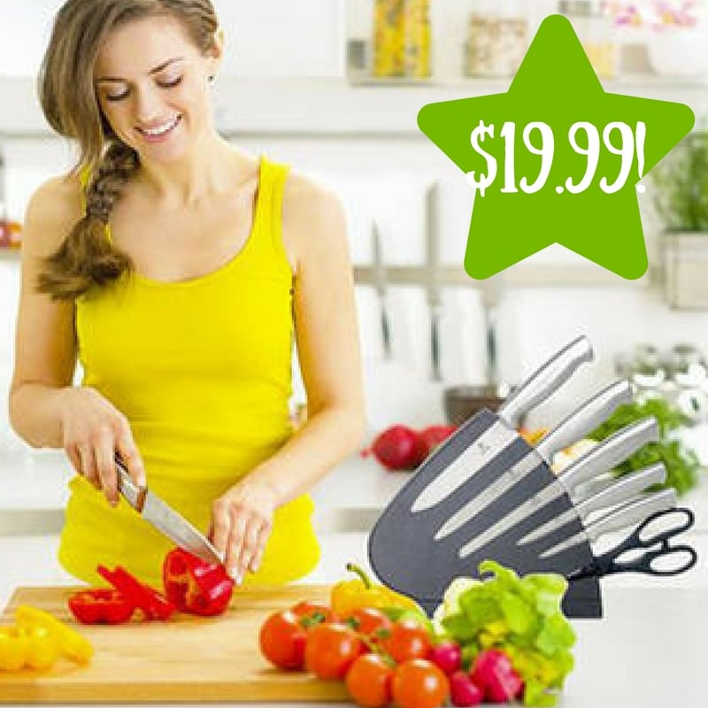 Sears: Chefs Basics Master Stainless Steel Knives with Block Only $19.99 (Reg. $50, Today Only) 