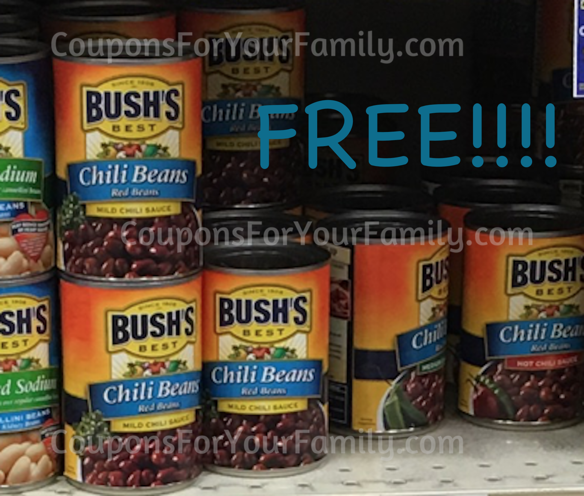 Free Bush's Chili BEans