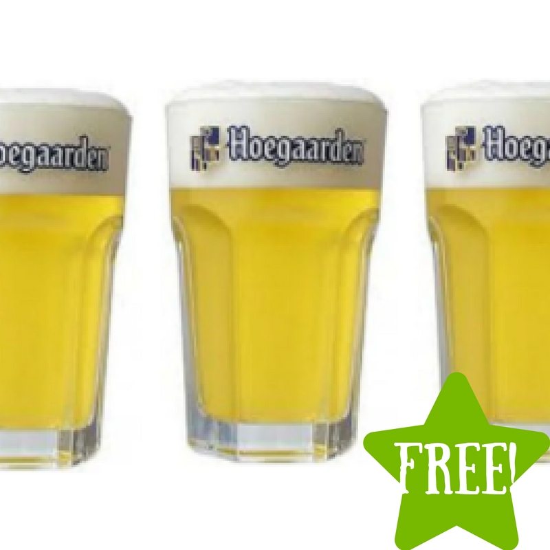 FREE Hoegaarden Beer Glass