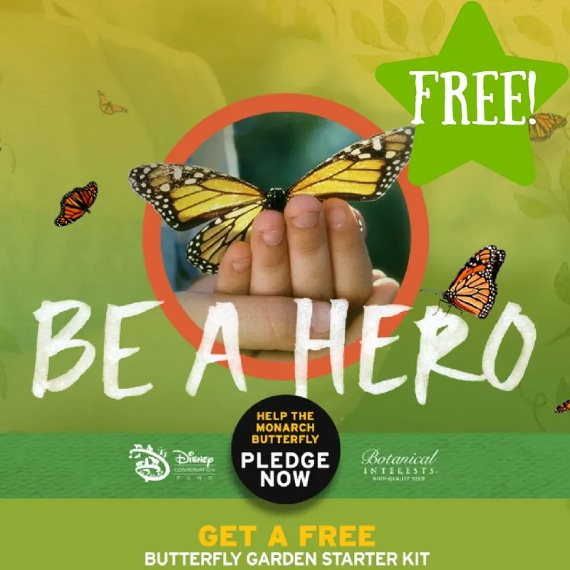 FREE Butterfly Garden Starter Kit FREE Butterfly Garden Starter Kit