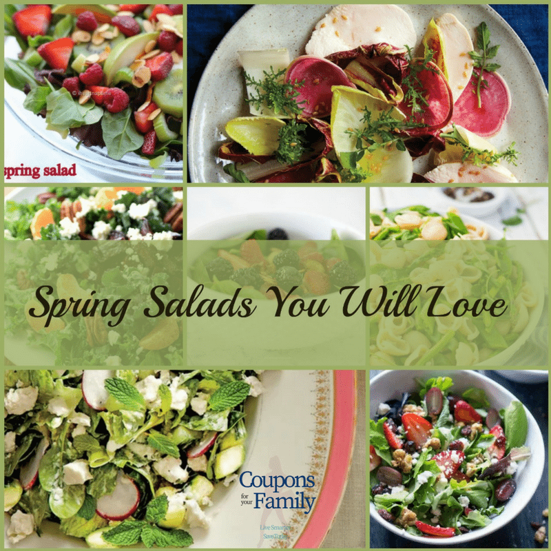 Spring Salad Recipe Roundup