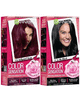 Printable Coupon: $1.00 on ANY TWO (2) boxes of GARNIER COLOR SENSATION™