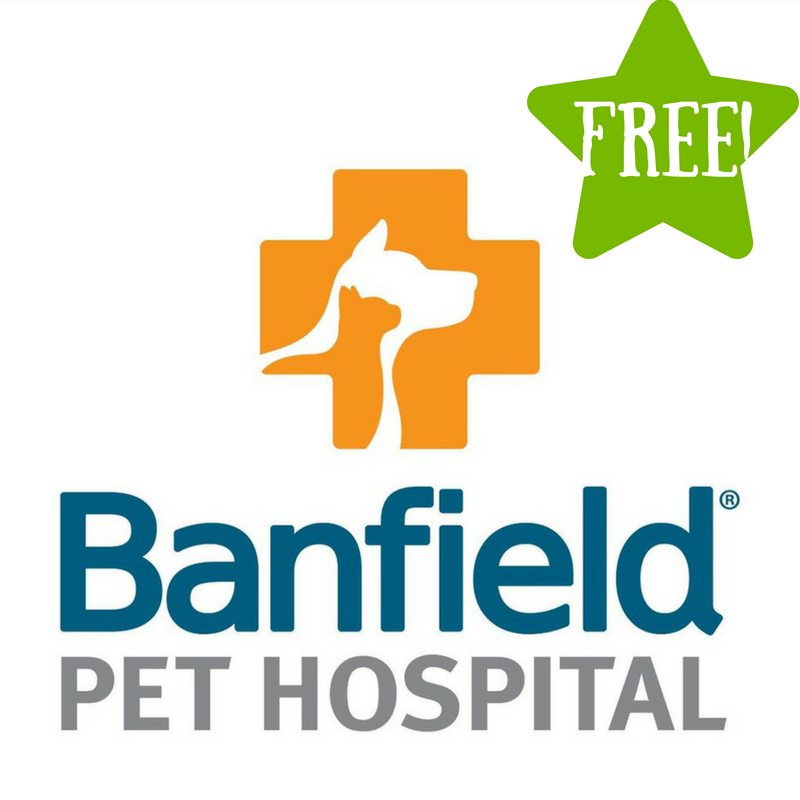 FREE Office Visit & Consultation at Banfield Pet Hospital 