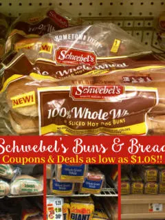 Schwebel's Coupons to Print