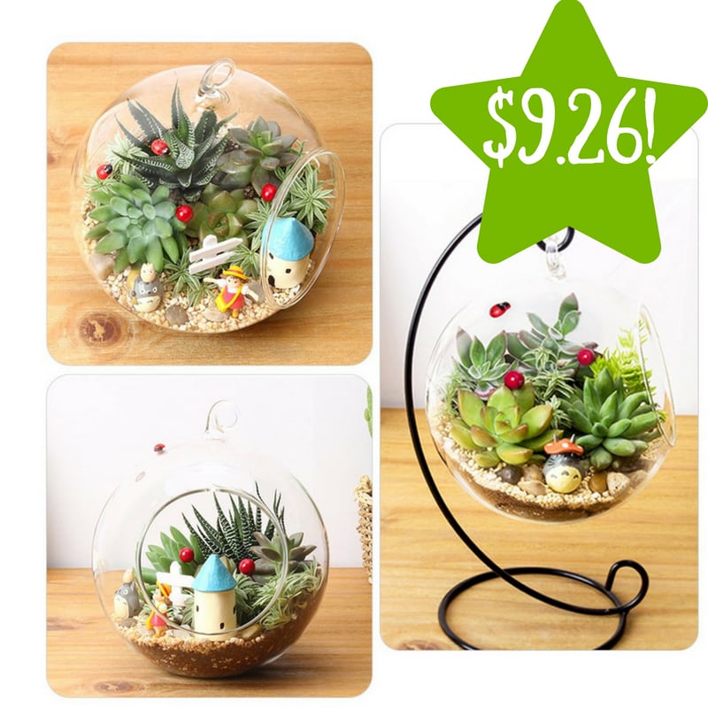 Walmart: Hanging Round Ball Glass Vase Only $9.26 (Reg. $33) 