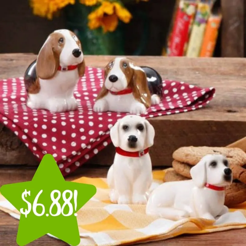 Walmart: The Pioneer Woman Salt and Pepper Shaker Sets Only $6.88 (Reg. $14) Walmart: The Pioneer Woman Salt and Pepper Shaker Sets Only $6.88 (Reg. $14)