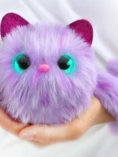 Pomsies toy