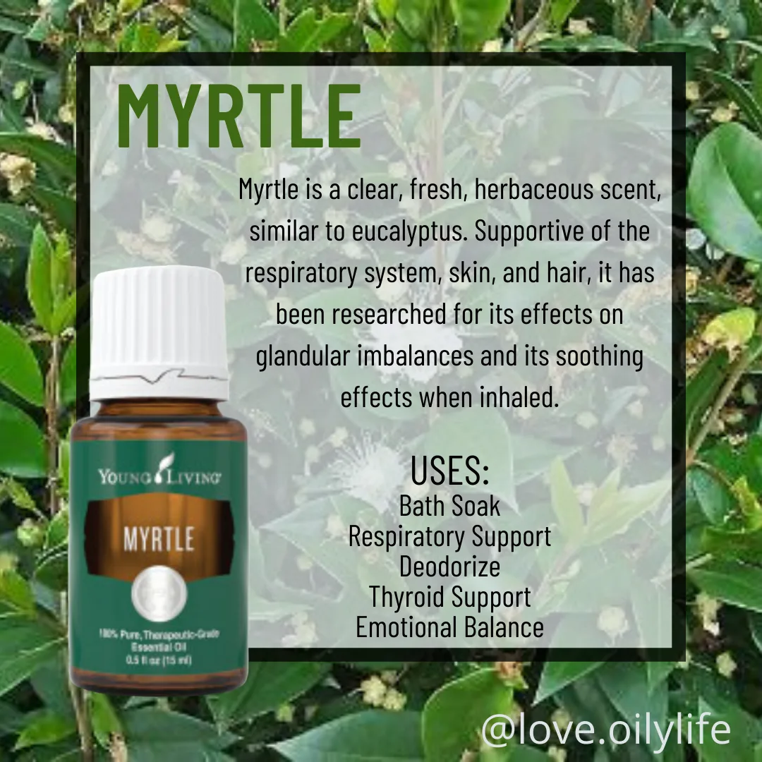 Myrtle Essential Oil Uses