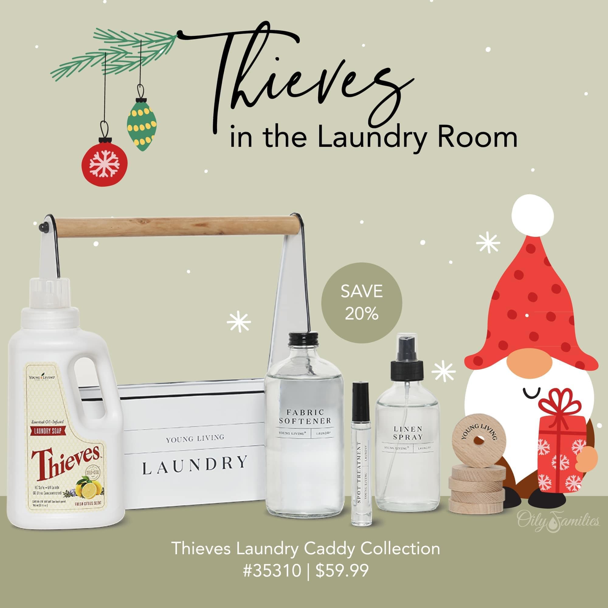 Thieves in the Laundry Room