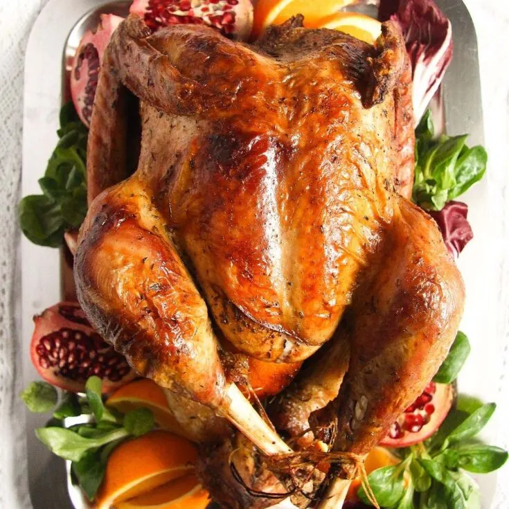 Image for Turkey with Red Wine