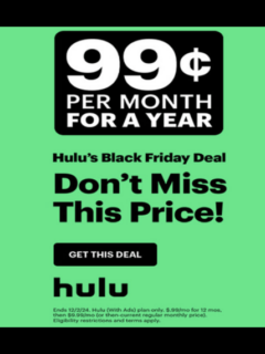 Hulu Black Friday 2024 (430 x 570 px)