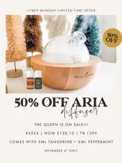 aria diffuser