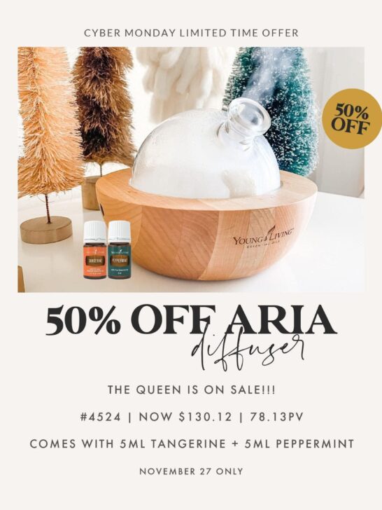 aria diffuser