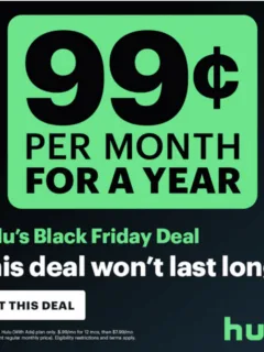 hulu black friday 2023