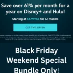 Black Friday Weekend Disny+ and Hulu Special Bundle 2025 (1)