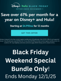 Black Friday Weekend Disny+ and Hulu Special Bundle 2025 (1)