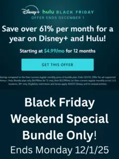 Black Friday Weekend Disny+ and Hulu Special Bundle 2025 (1)