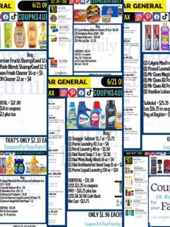 Dollar General Coupon Deals 6_21_25