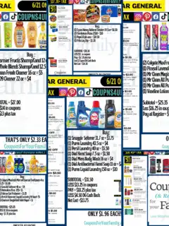 Dollar General Coupon Deals 6_21_25