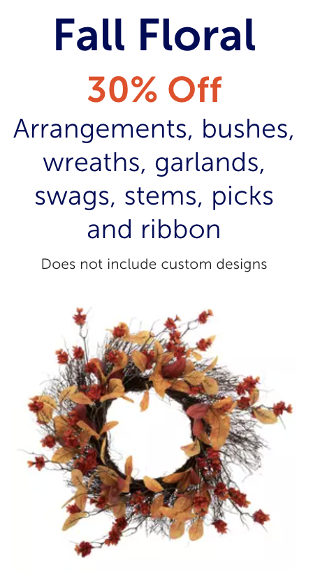 Hobby Lobby Ad this Week 6_29_25 pg 3