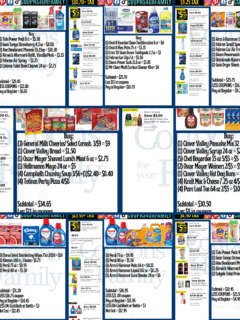 Dollar General Coupon Scenarios 8_23_25