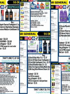 Dollar General Coupon Scenarios 9_6_25