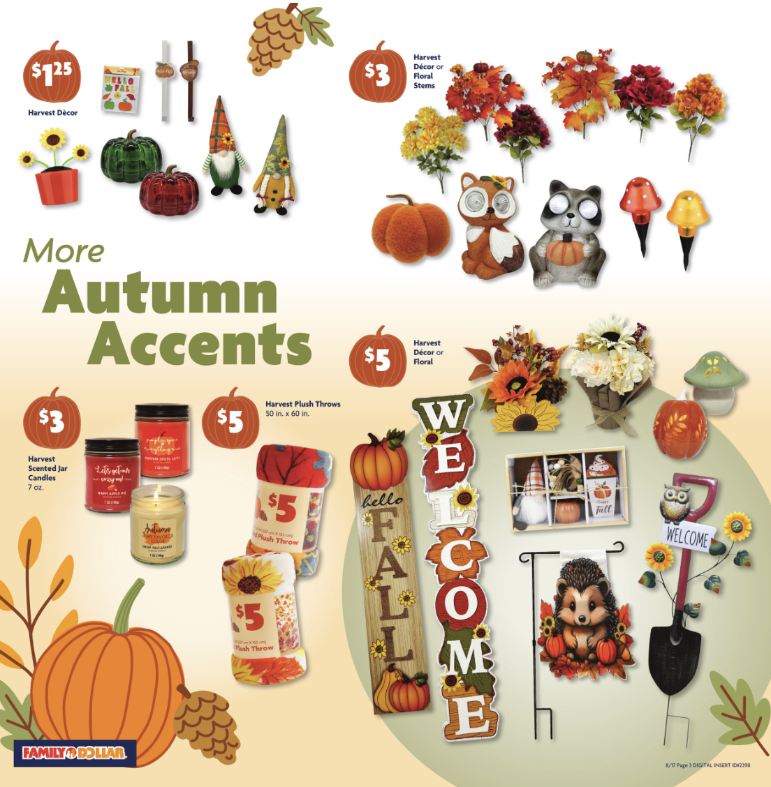 Family Dollar Ad this Week 8_17_25 pg 5