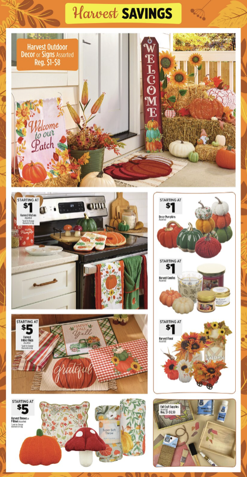 Dollar General Ad 9_7_25 pg 10