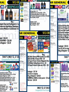 Dollar General Coupon Deals 9_13_25