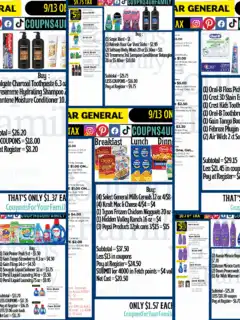 Dollar General Coupon Deals 9_13_25