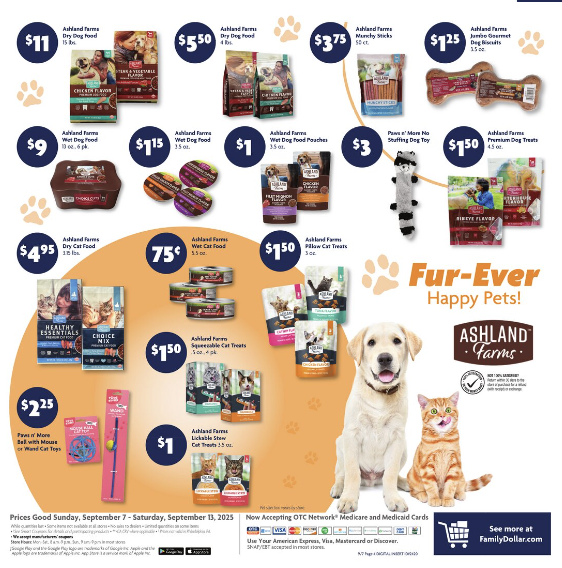 Family Dollar Ad this Week 9_7_25 pg 9