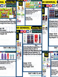 Dollar General Coupon Deals 10_25_25
