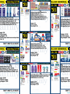 Dollar General Coupon Deals 11_1_25