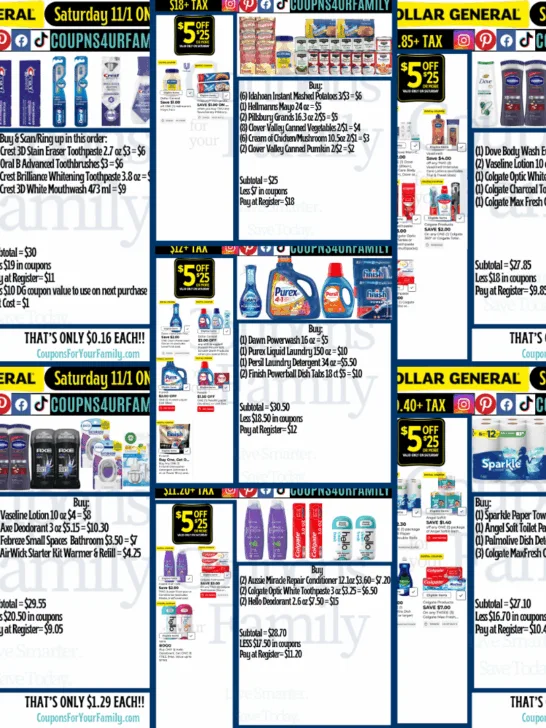 Dollar General Coupon Deals 11_1_25