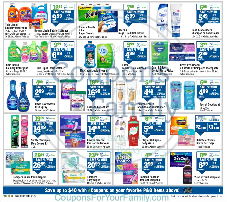 Price Chopper Ad this week 10_26_25 pg 9